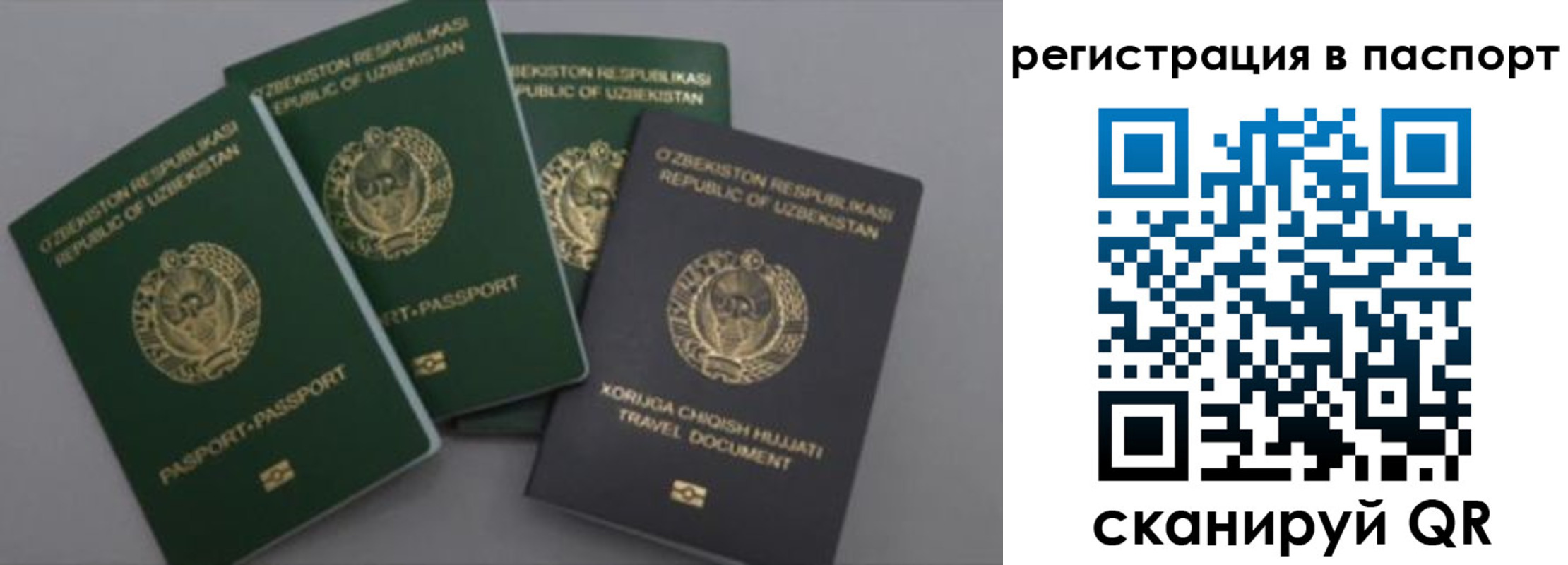 прописка от собственника в Хадыженске